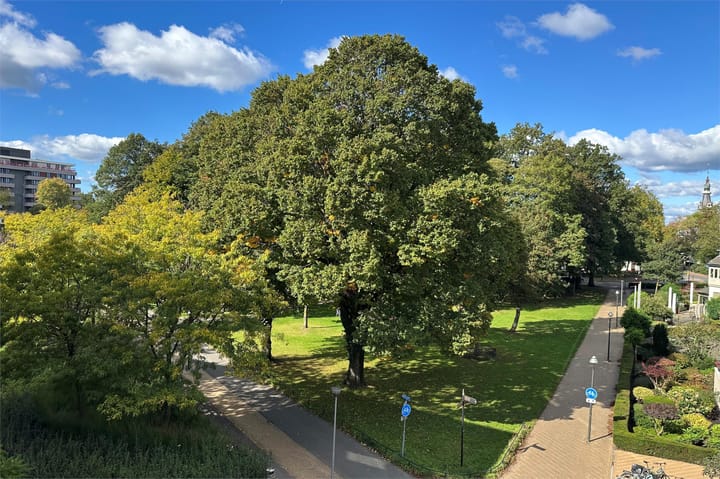 Foto 2 van Beekpark 35-A