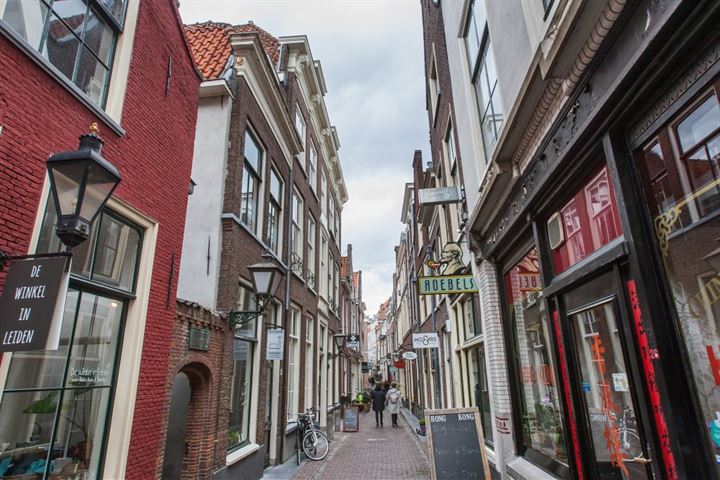 Bekijk foto 1 van Pieterskerk-Choorsteeg 15-C