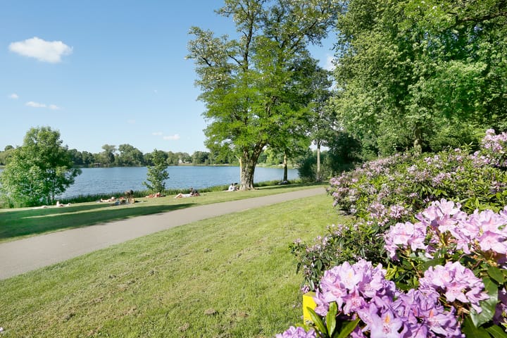 Foto 27 van Van der Venstraat 39