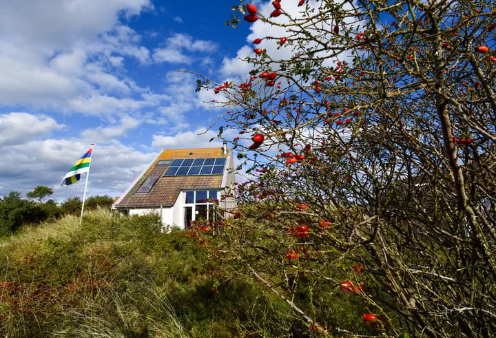 Photo 46 of Midsland aan Zee 395