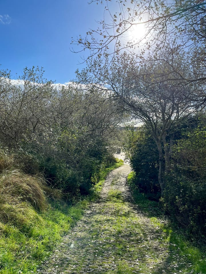 Photo 48 of Midsland aan Zee 395