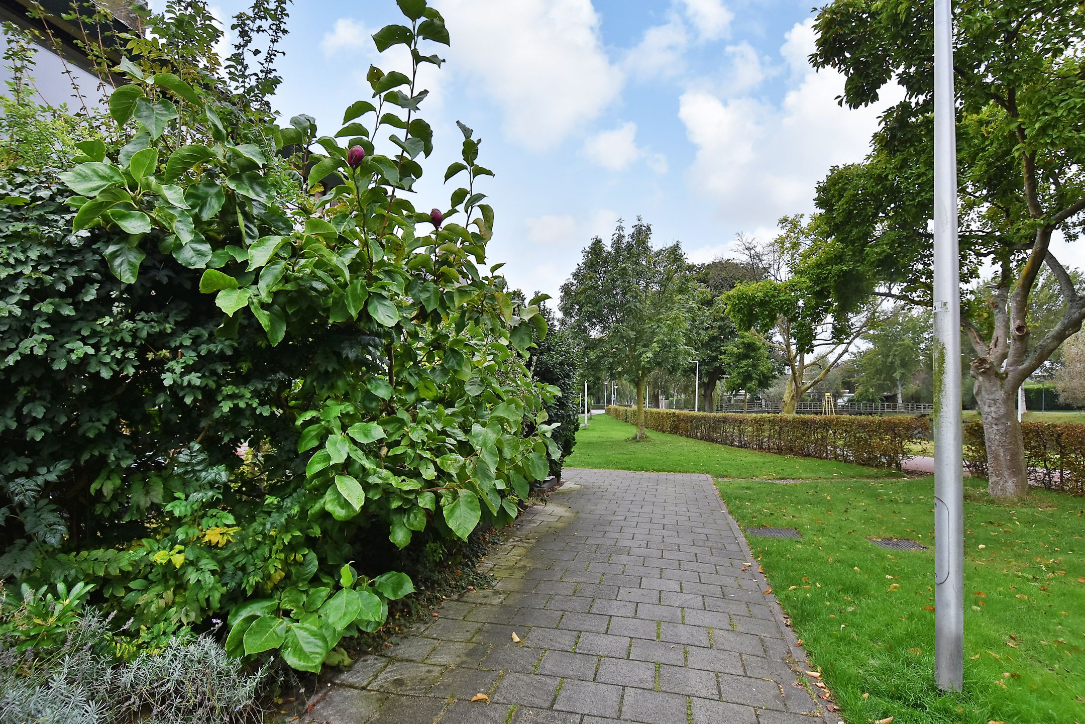 Foto 3 van Magnoliadreef 6