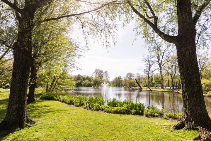 Photo 51 of Quellijnstraat 109-1