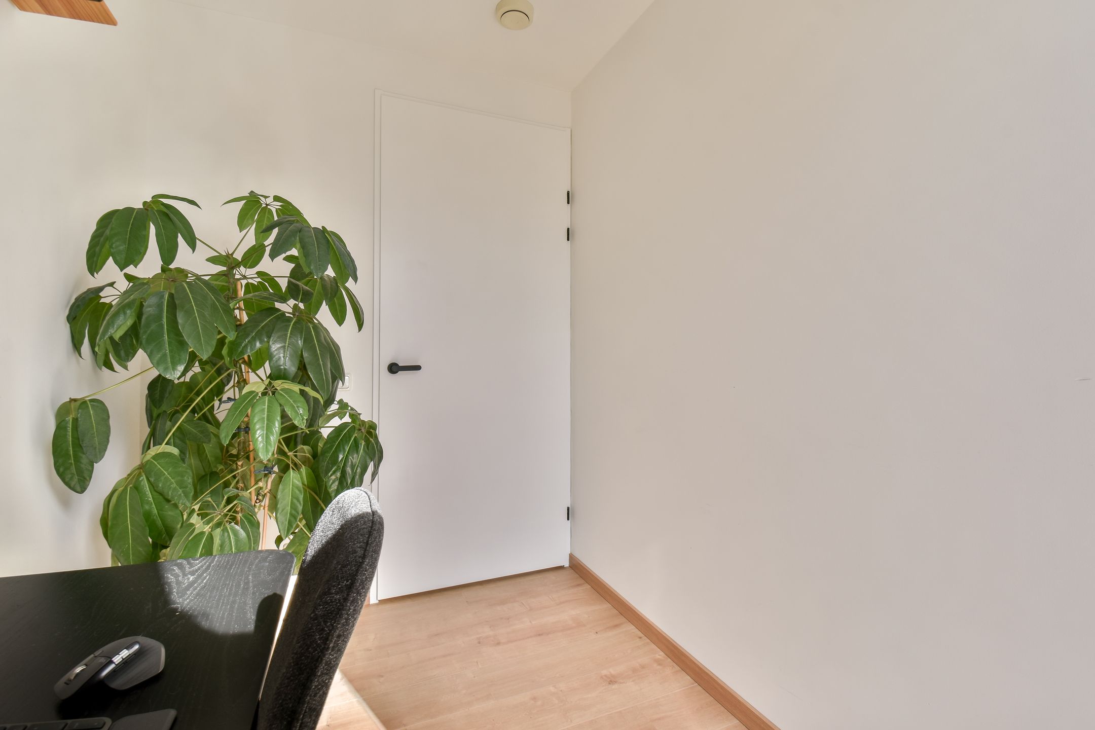 Photo 27 of Berkenplein 234