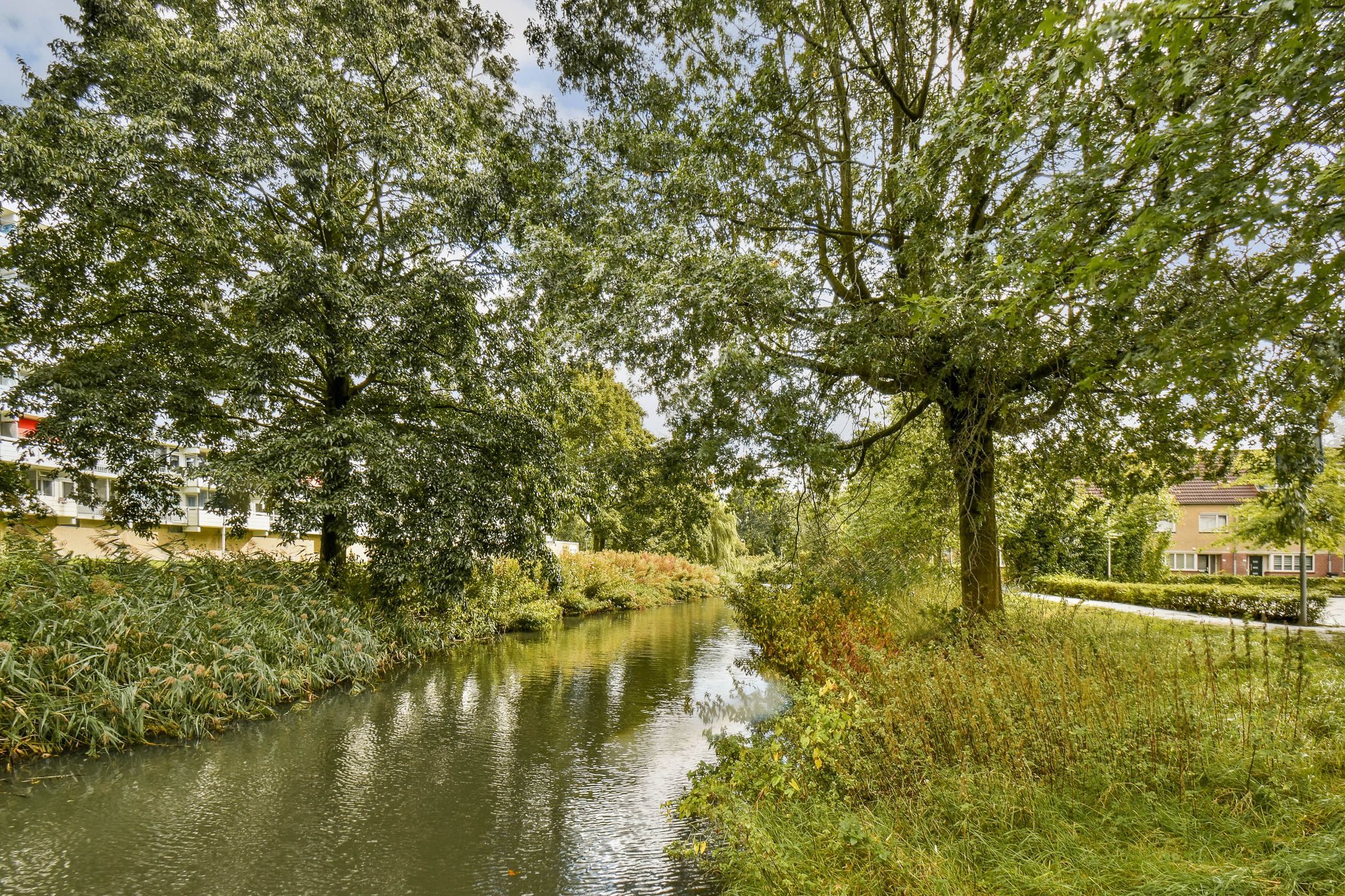 Photo 33 of Berkenplein 234