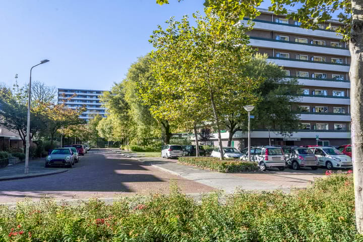 Foto 2 van Vesuvius 17