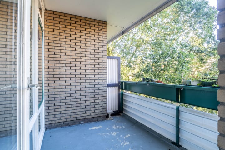 Foto 13 van Vesuvius 17