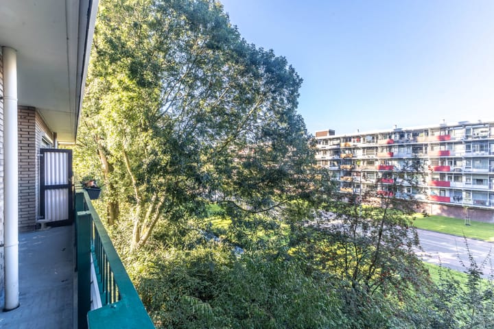 Foto 15 van Vesuvius 17