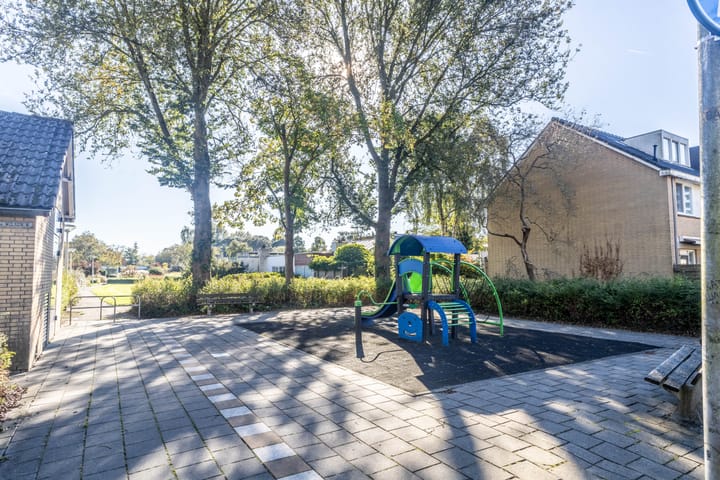 Foto 21 van Vesuvius 17