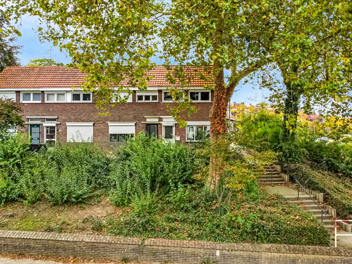 undefined main image