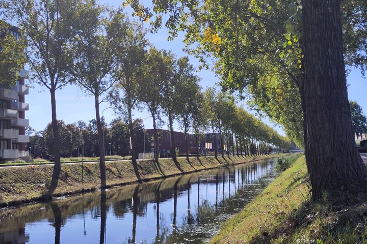 Bekijk foto 34 van Hoofdweg 789