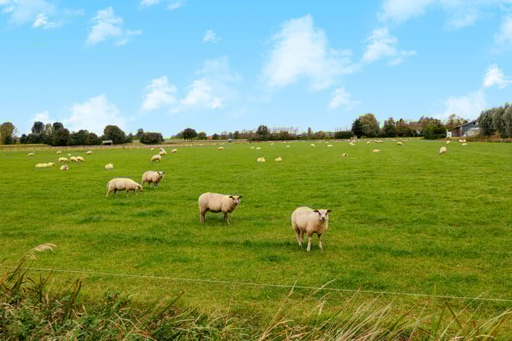 Foto 53 van Kampstraat 31