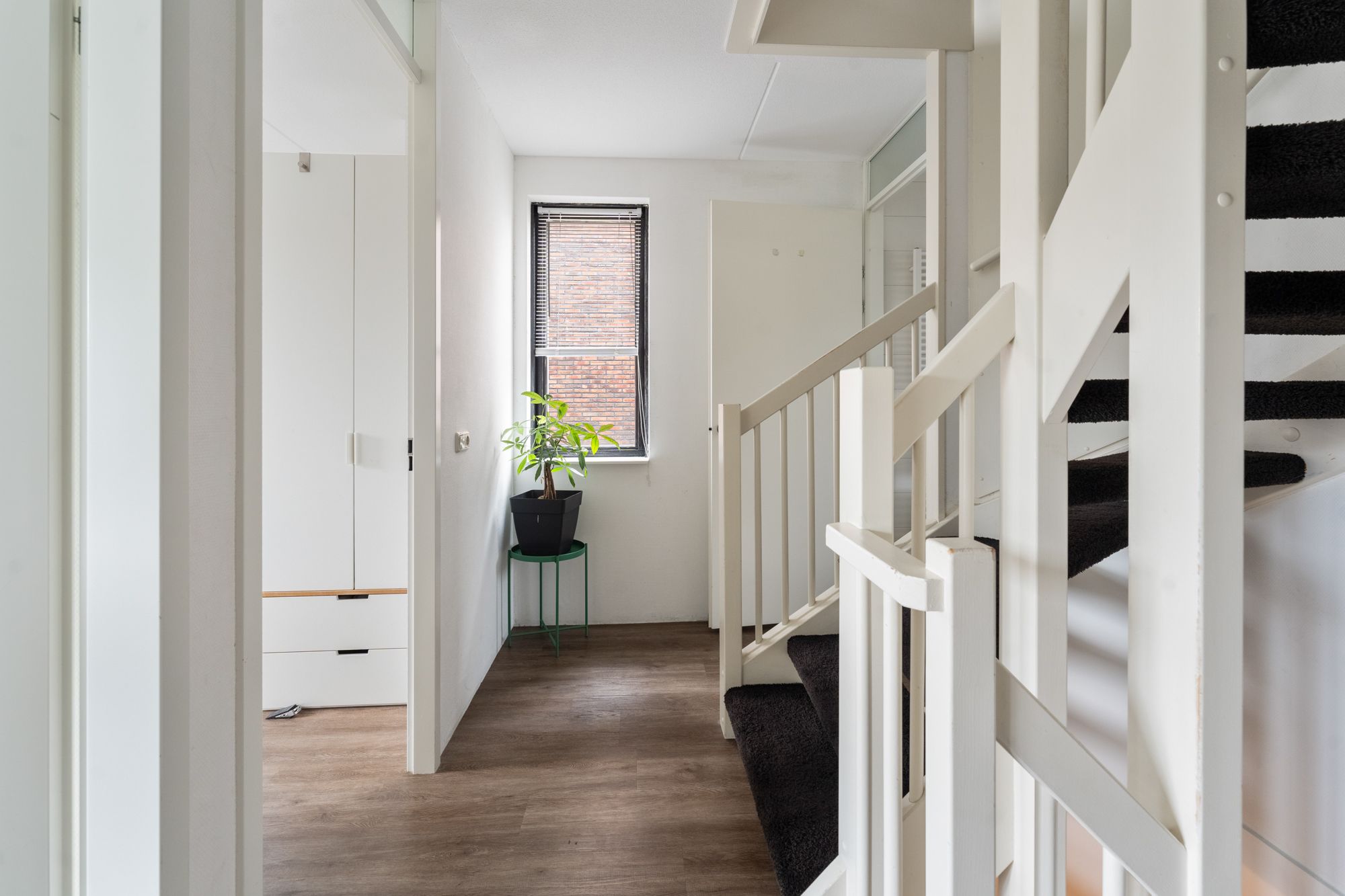 Foto 33 van Wadloper 37