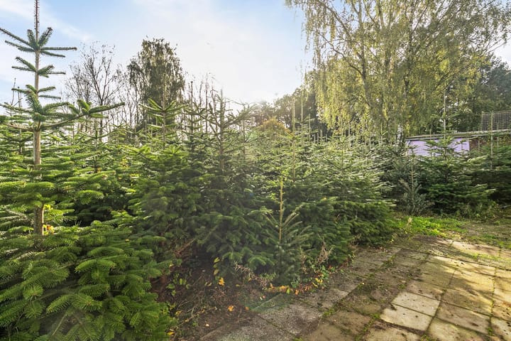 Foto 38 van 's-Gravenstraat 299