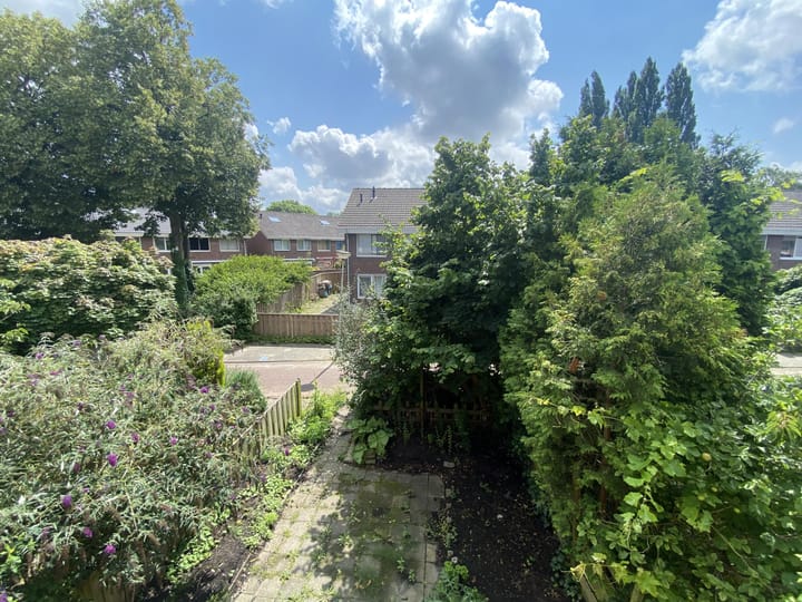 Foto 13 van Snoekenveen 506