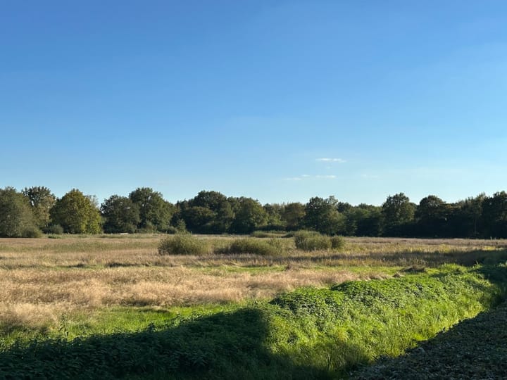 Foto 46 van Zwanenven 1