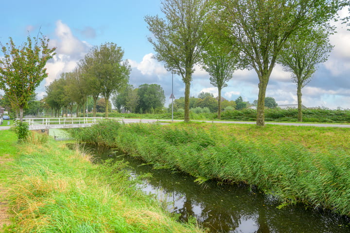Foto 42 van Zuidervaart 37-A