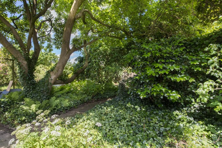 Foto 54 van Weverssingel 7-C