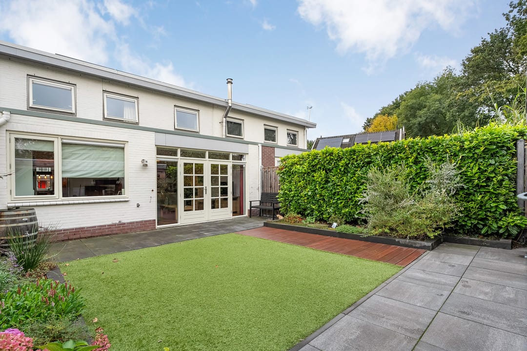 Foto 2 van Waterhoen 3