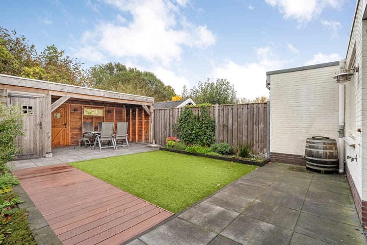 Foto 3 van Waterhoen 3