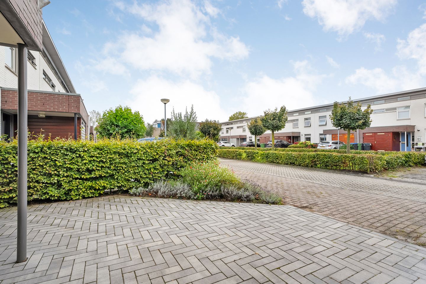 Foto 40 van Waterhoen 3