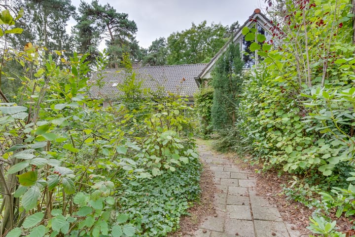 Foto 47 van Cornelis Evertsenlaan 1