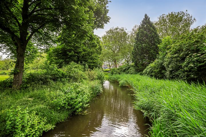 Bekijk foto 40 van Berkenhof 49