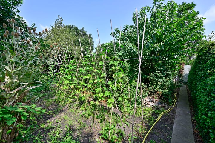 Foto 23 van Stationsstraat 56