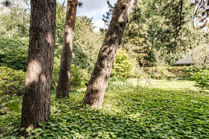 Foto 20 van Marius Bauerlaan 8