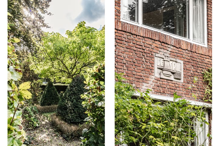 Foto 38 van Marius Bauerlaan 8