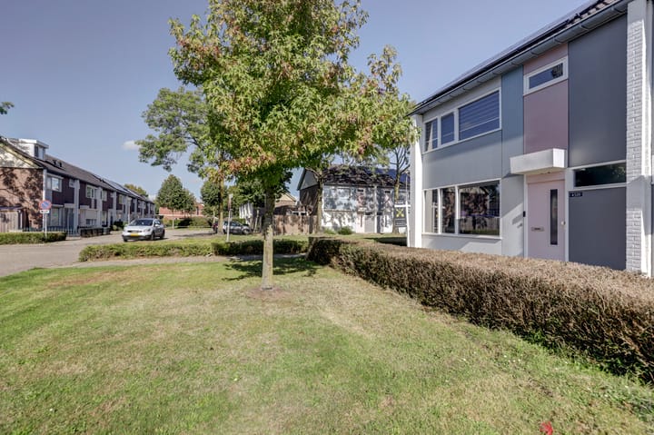 Foto 32 van Heilige Stoel 4501