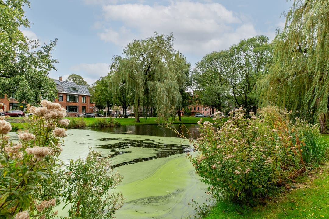 Foto 38 van Delfgaauwstraat 5-B