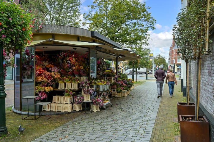 Foto 57 van Statenlaan 22