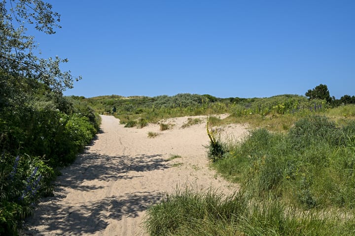 Foto 58 van Statenlaan 22