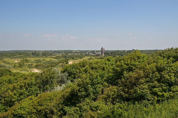 Foto 59 van Statenlaan 22