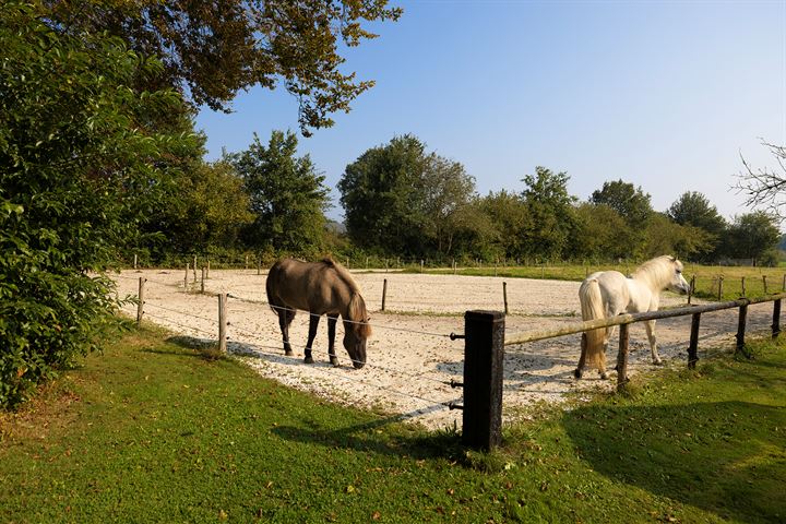 Bekijk foto 75 van Molenbergweg 106