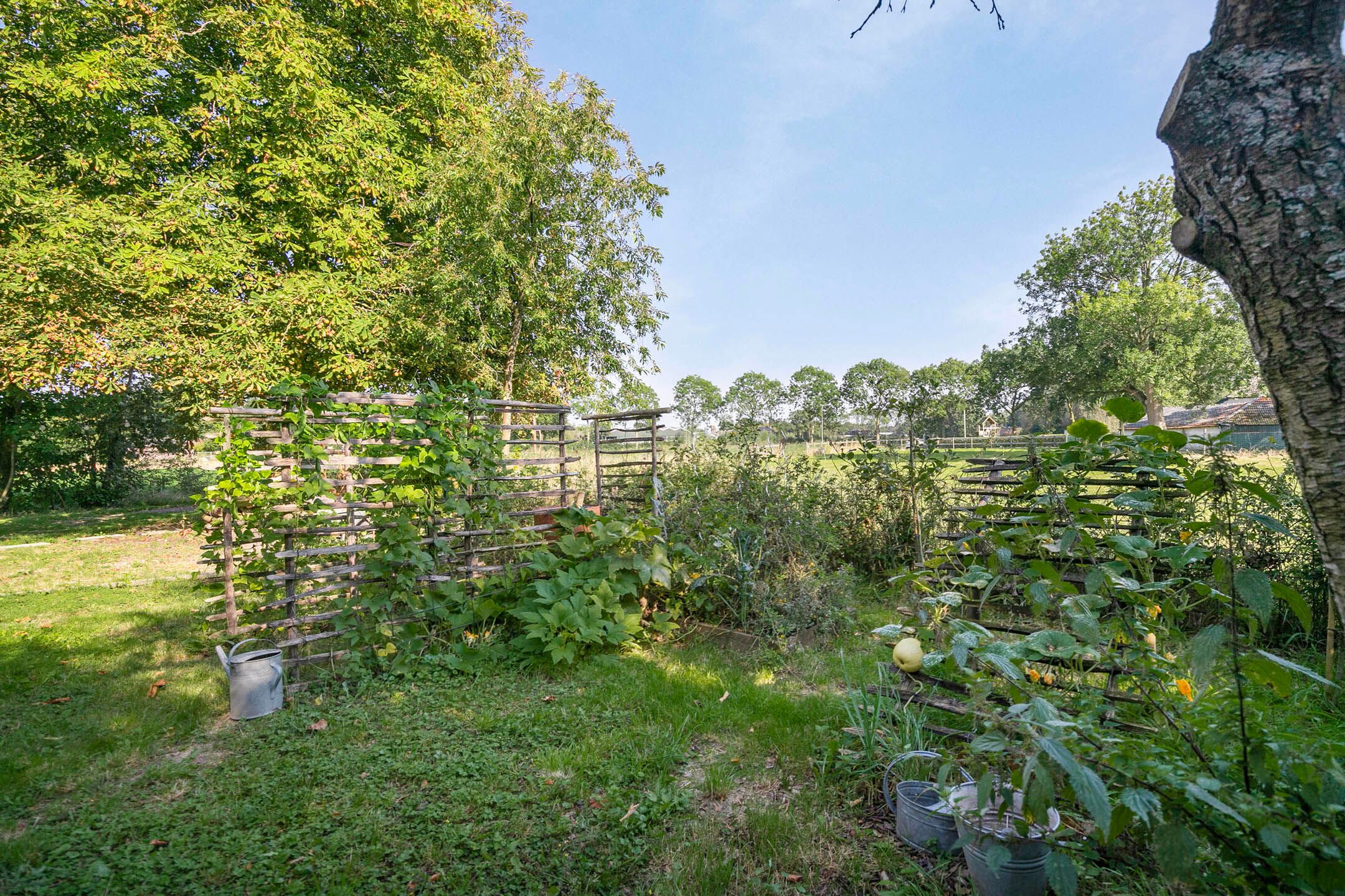 Foto 9 van Dortestraat 2