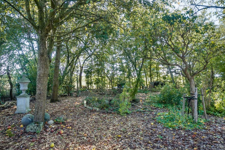 Foto 10 van Dortestraat 2