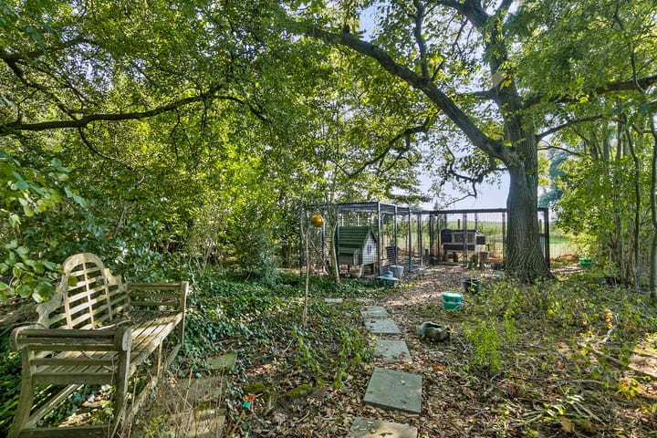 Foto 11 van Dortestraat 2