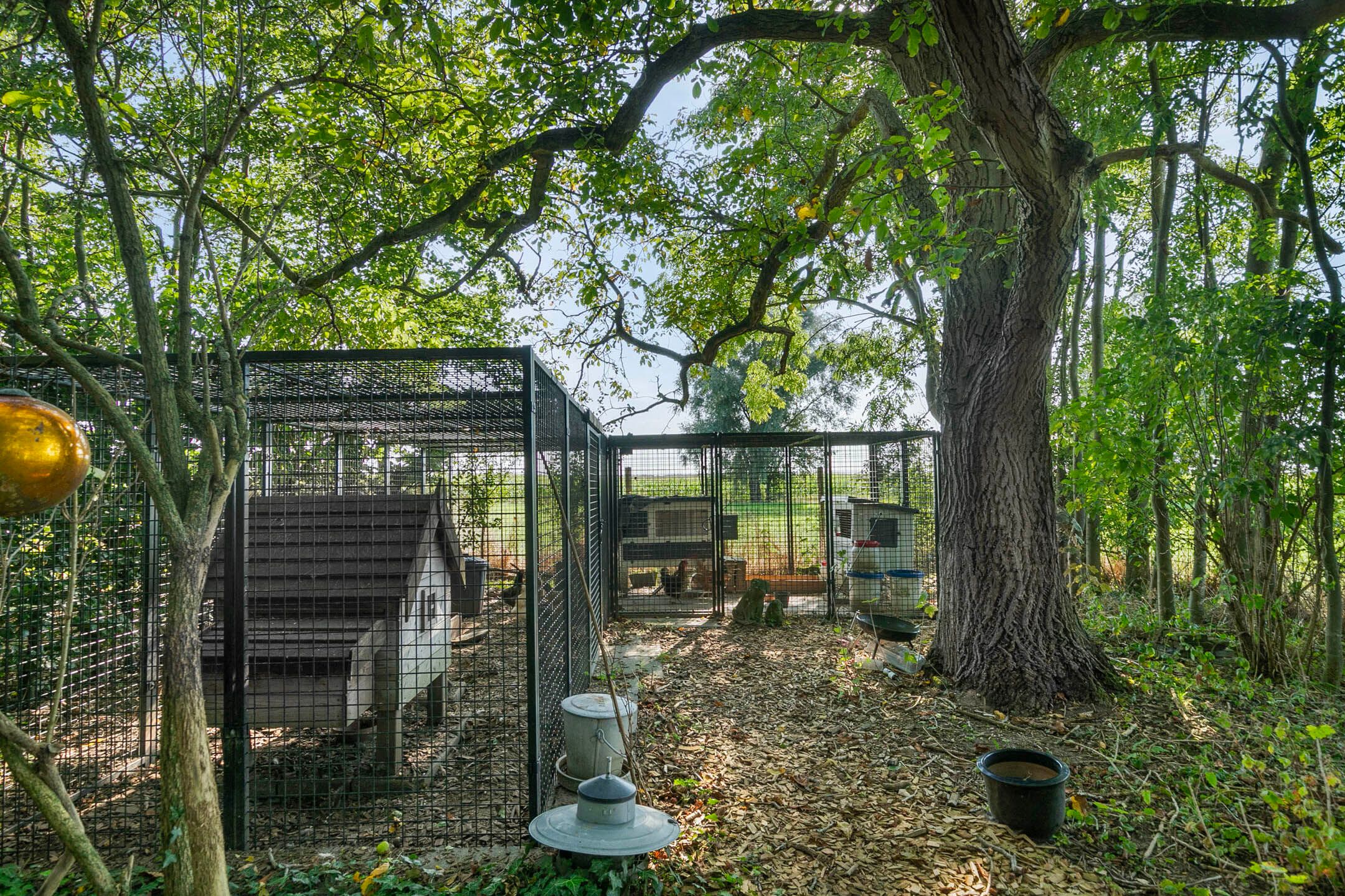 Foto 12 van Dortestraat 2