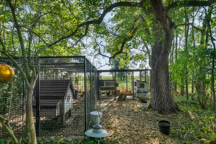 Foto 12 van Dortestraat 2