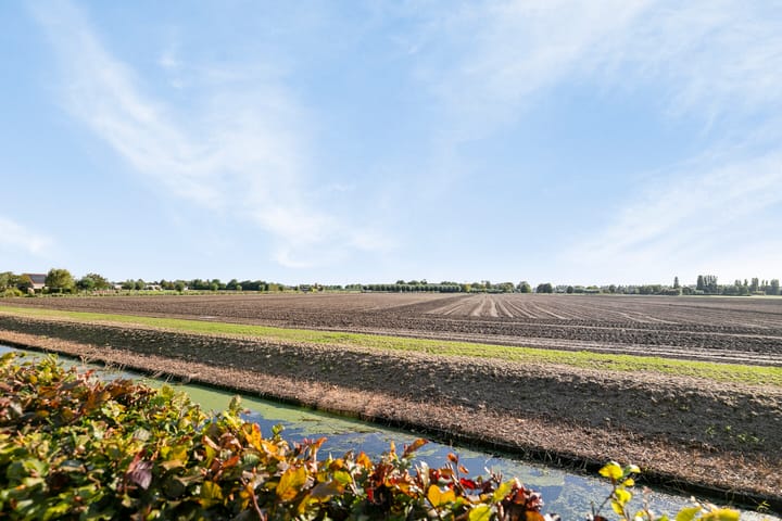 Foto 43 van Middelsluissedijk WZ 77