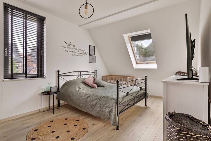 Foto 5 van Beekforel 1