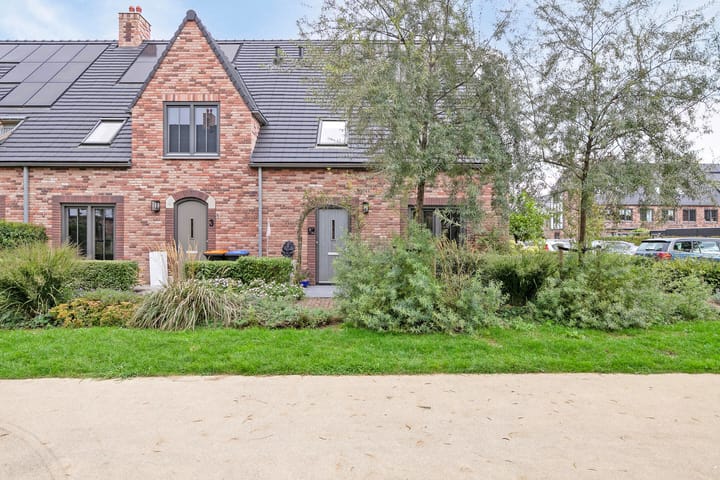 Foto 8 van Beekforel 1