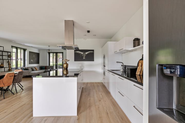 Foto 17 van Beekforel 1