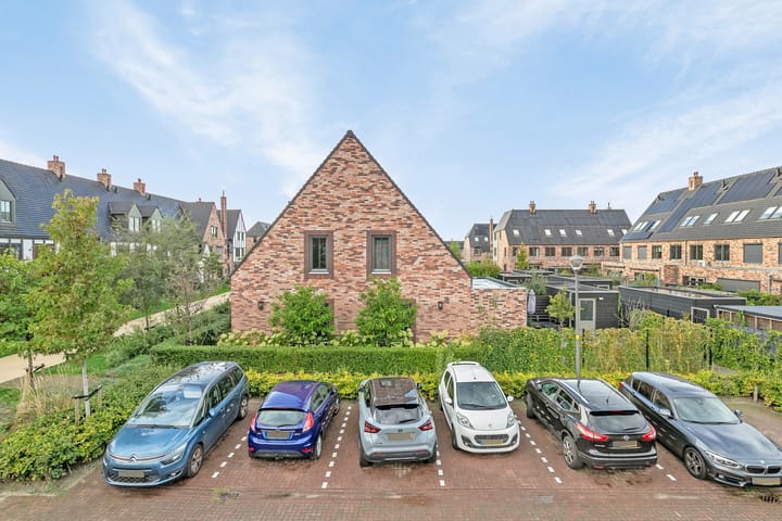 Foto 37 van Beekforel 1