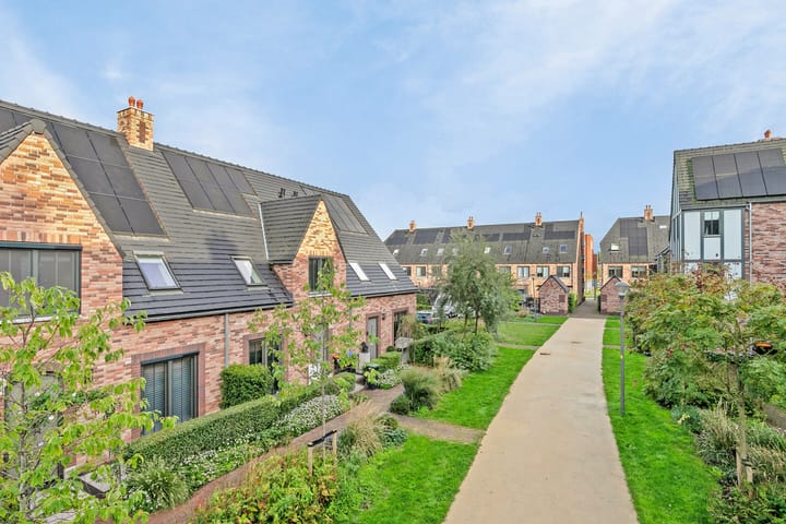 Foto 40 van Beekforel 1