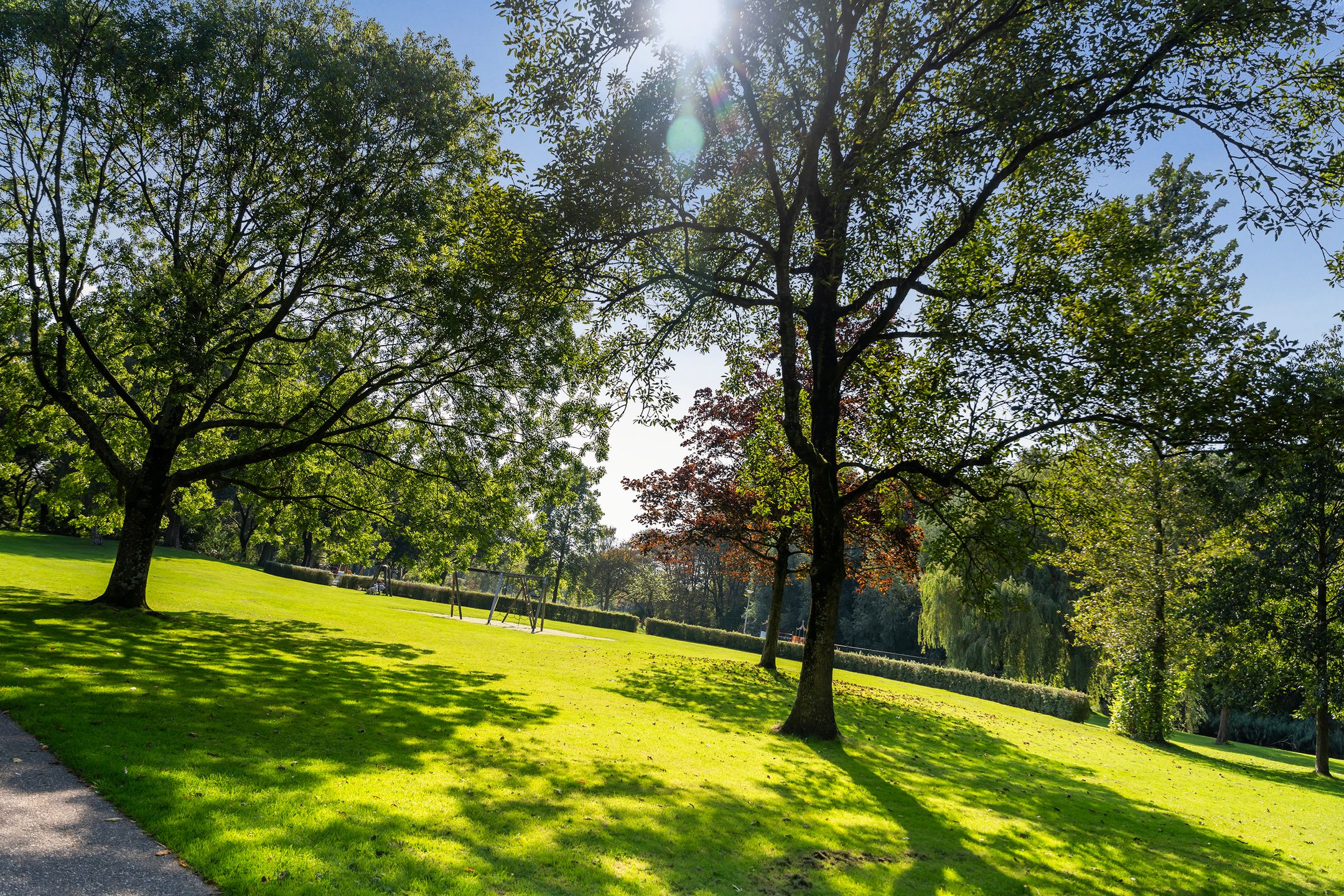 Foto 30 van Cleyburchstraat 44-A01