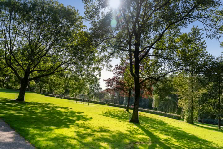 Foto 30 van Cleyburchstraat 44-A01