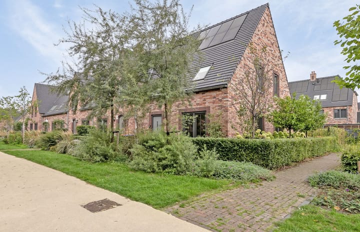 Foto 7 van Beekforel 1